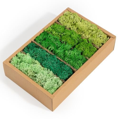 AIBAOBAO 200g Lifelike Moss Faux Natural Fresh Green Moss for Crafts Home Office Wall Tea Table Decorations Forest Art for Gardens Terrariums DIY Plant Decor Fake Moss for Indoor Plant Pots(5 Colors)