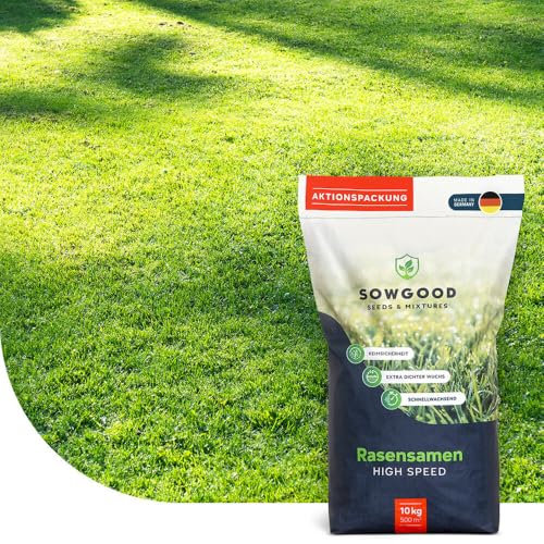 Gazon pour ombre et terrains secs - 10 kg pour 500 m² - Semences résistantes à la sécheresse - Gazon dense et vert même sous les arbres - Idéal pour les zones peu ensoleillées