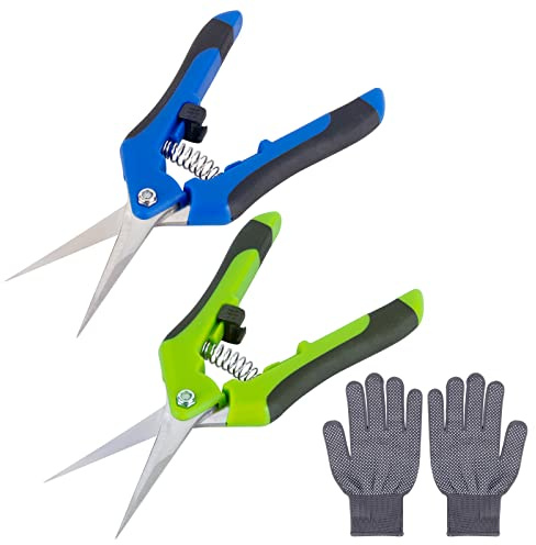 2 trädgårdssaxar, rosplantsax 170 mm, rostfritt stål, skördesax, blomsax, lässax, grensax - för trädgård, frukt och grönsaker, trimning, blommor + 1 par trädgårdshandskar