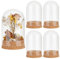 PH PandaHall 4 Stück Glasglocke Mit Kuppel Glockenglas Mit Korken Kleine Glasflaschen Kuppel Dekorative Gläser Vitrine Für Blumenaufbewahrung Zuhause Weihnachten Party Gastgeschenk 6x9.9cm