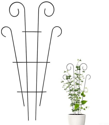 ARMYJY Garden Plant Trellis for Climbing Plants Outdoor,Plant Climbing Support Frame Flowers Stand Cage Rustproof for Indoor Outdoor Vines Flower