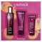 Caudalie Thé des Vignes - Juego de cuidado de la piel de 50 ml - Thé des Vignes tamaño completo + 2 productos de tamaño de viaje gratis