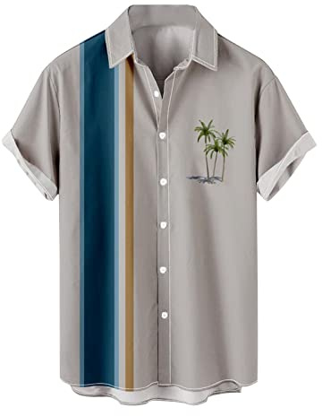 Chemise à Manches Courtes Hommes Été Chemises Casual Hawaïenne Chemises Boutonnées Hommes Été Leger Chemises de Plag Imprimés Col Revers T-Shirt à Col Rayé Slim Fit Décontractées Respirant Haut