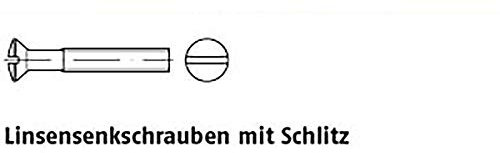 Linsensenkschrauben ISO 2010 4.8 M 6 x 12 galv. verzinkt gal Zn VE=K 200 Stück