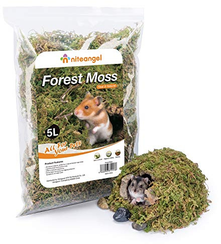 Niteangel Litière Naturelle Douce de Mousse forestière de 5 litres pour Hamsters Nains syriens, gerbilles, Souris, dégus, Reptiles ou Autres Petits Animaux (5L)