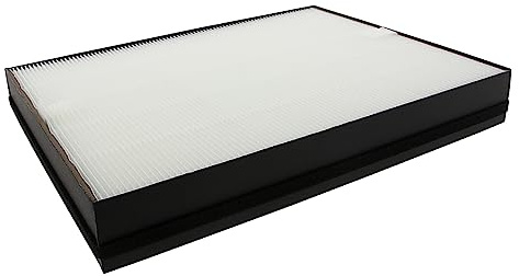 Premium HEPA Ersatzfilter - Kompatibel mit Philips Luftreiniger Serie 2000, 2000i, AC2887/10, AC2889, AC2887, AC2882 - Ersatz für FY2422/30ect HEPA