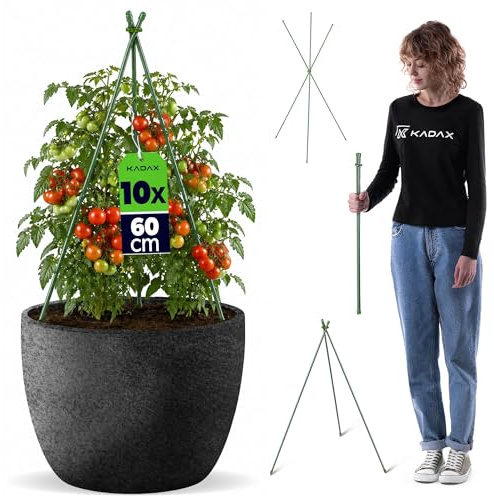 KADAX Klätterstöd för växter, 60 cm, set om 10, väderbeständigt växtstöd av metall och plast, rankobelisk för blommor, sticklingar och klätterjordgubbar