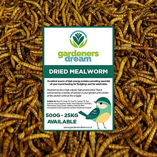 vers de Farine séchés GardenersDream - Friandises nutritives pour Oiseaux Sauvages (10kg)