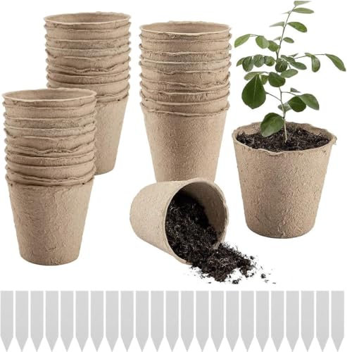 50 vasi biodegradabili per piante, piccoli vasi per piantine, vasi per semi, mini vasi per piante e fiori, per radici, vasi per piselli dolci, vassoi per semi a radice profonda, contenitori