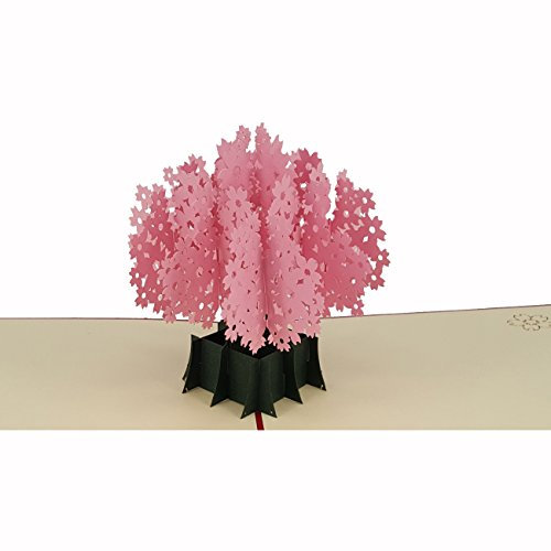 Grobys Futterkiste Kaninchenohren hell getrocknet in Premium Qualität, Verpackungseinheit:250 Gramm