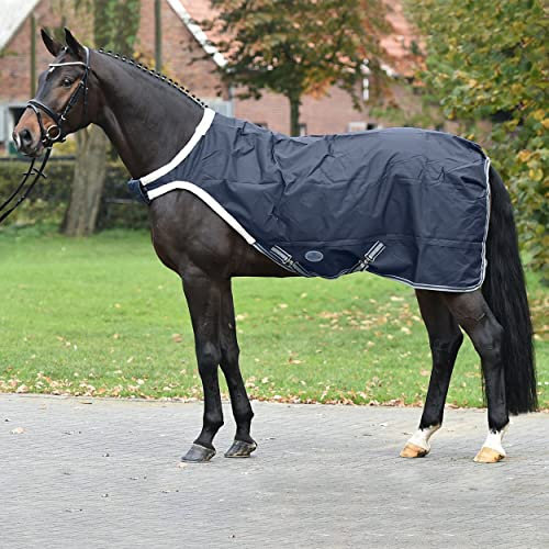 Führanlagendecke WALKING 100