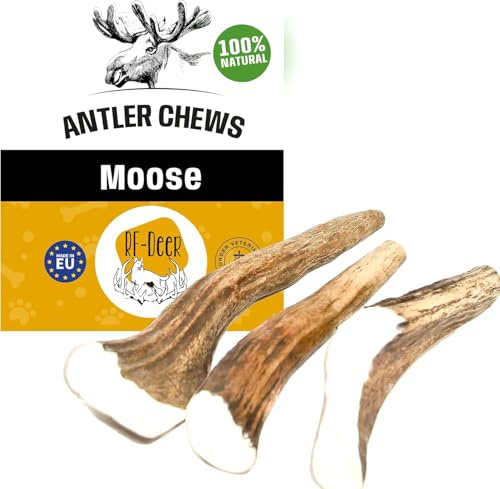 RF-Deer Geweih di Alce Snack Naturale per Cani Taglia XXL HARD - 0,5 kg - ogni pezzo circa 17 cm - Giocattolo per Cani per Piacere e Cura dei Denti