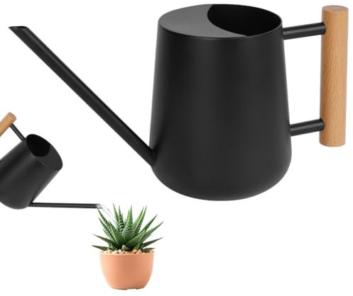 OFFCUP Annaffiatoio in Acciaio Inossidabile, 1L Annaffiatoio Piccolo per Piante Moderno Annaffiatoio per Piante da Interno con Beccuccio Lungo Lnnaffiatore Giardino, per Casa, Piante, Bonsai(Nero)