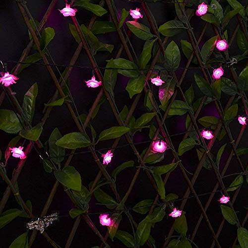 KEEDA Solar String Lights, 30 LED Rose Flower Fairy Lights Waterproof Decorative Lighting for Outdoor Patio Garden Wedding Party (Pink)