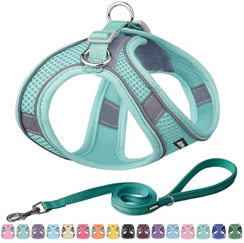 AIITLE No Pull Hundegeschirr, Step in einstellbares Hundegeschirr mit gepolsterter Weste, Hundeleine mit weichem gepolstertem Griff, leicht anzulegen für kleine und mittlere Hunde Reines Türkis S