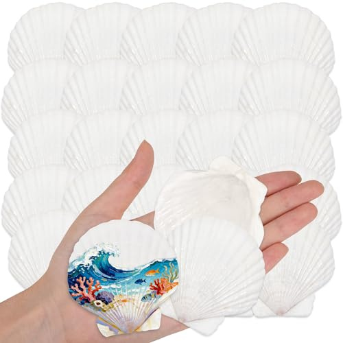 Wirow 35 PCS Natural White Scallop Shells 5-7CM Seashells for Crafting | Natural Seashells from Beach for Crafts Wedding Decor Beach Theme Party, Fish Tank and Vase Filler