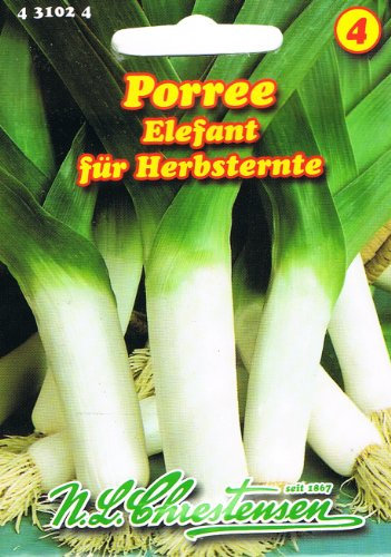 Porree Elefant (Portion)