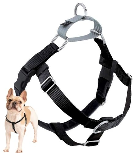 2 Hounds Design Freedom No Pull Dog Harness, Adjustable Harness and Leash Set, Easy Walking & Comfortable Control, Fits Small, Medium & Large Dogs, Solid Colors, Made in USA, 1 LG, Red