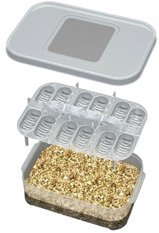 Brutautomat Vollautomatisch, transparenter Inkubator, Eierbrutkasten - Reptilien-Inkubator mit 12 Gittern aus PP, hygienisch & reinigungsfreundlich, verbessert Schlupfrate, ideal Züchter & Liebhaber