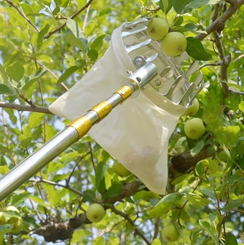 mhyGlayleure Recogedor de frutas con mango telescópico ajustable, acero inoxidable (6 metros)
