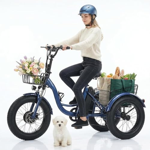 E-Trike Fat Tire Triciclo elettrico per adulti, 20'' 4.0 Pedal Assist 3 ruote con cestino posteriore e display LCD, portata massima 150 kg, blu