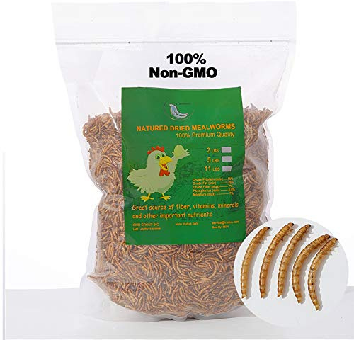 WORKPOINT 5LB 100% Natural Non-GMO High Protein Dried Mealworms, Large Size No Moisture, Perfect for Chickens Birds Hedgehog Hamster Fish Reptile Turtles