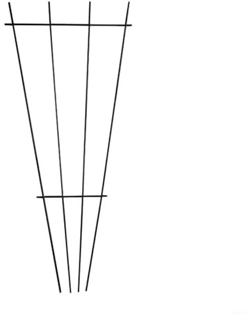 Bulevisiter Treillis en métal pour plantes grimpantes, plantes d'intérieur et de jardin, design éventail résistant aux intempéries, pour lierre pothos, mandevilla, jasmin, 30 x 40 cm, noir