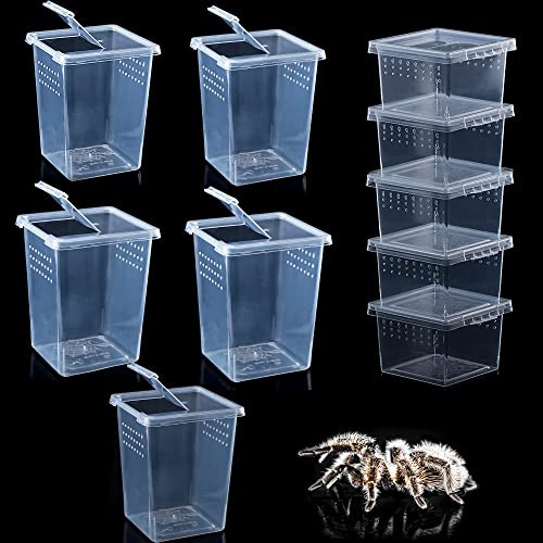 Paquete de 10 terrarios de araña, Caja de cría de Reptiles pequeños, Caja de alimentación acrílica para arañas arbóreas, tarántula, Mantis, escorpión, ciempiés (5 Altos + 5 pequeños)