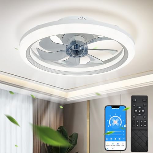 EKDADL Reversibile Ventilatore da Soffitto LED 50CM Dimmerabile Ventilatore a Soffitto con Luce 3 Colori 6 Velocità Silenzioso Lampadario con Ventilatore da Soffitto con Luce