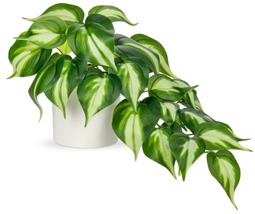 Hollyone Artificial Plants in Ceramic Pots, Fake Jade Pothos Decorative Faux Potted Plants, Realistic House Plant Indoor for Home Décor, Bathroom, Living Room, Kitchen, Shelf, Office Decorations