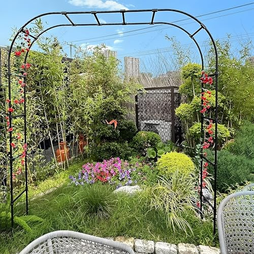 Pérgola de boda de acero inoxidable, 200 x 300 cm, arco de rosas para fiestas de jardín, Halloween y Navidad, metal duradero, pabellón de jardín (240 x 240 cm)