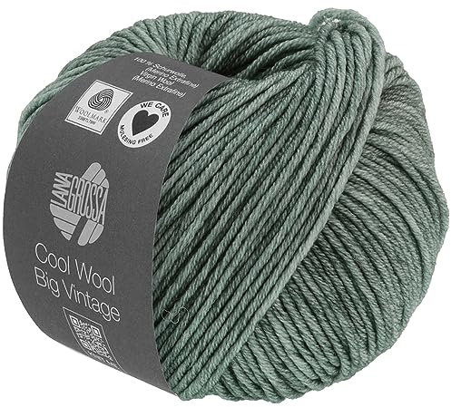 LANA GROSSA Cool Wool Big Vintage | Merinoklassiker mit Ton-in-Ton Farbeffekt | Handstrickgarn aus 100% Schurwolle (Merino extrafein) | 50g Wolle zum Stricken & Häkeln | 120m Garn FB 7168