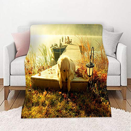 Coperta in Microfibra Morbida, Morbuy Super Flanella Viaggio Picnic Leggero Camera Biancheria da Letto Divano Ideale per Regalo Natale (Erba,150x100cm)