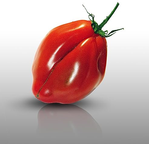 50 graines à semer - Le Grenier d'Abondance - TOMATE Coeur de Boeuf - Charnue 250 gr et+