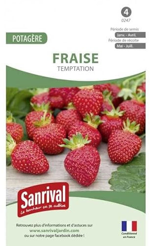 Sanrival - Graines Fraise Temptation