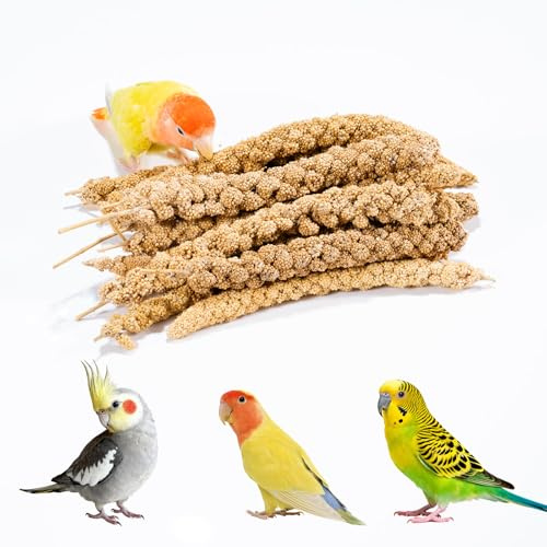 JOUSONTY 14 Oz Spray Millet Treat for Bird, for Parrot, Budgies, Parakeets, Cockatiels, Finches, Lovebirds, Canaries and Other Pet Birds