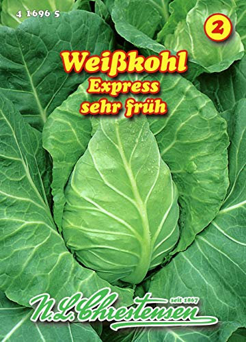 Weißkohl, Express, Spitzkohl sehr früh N.L.Chrestensen Samen 416965-B