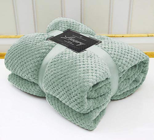 LJ Popcorn Waffle Style Luxurious Throws Super Soft Warm Cosy Sofa and Bed Fleece Blankets (Duck Egg, Double -150x200cms)