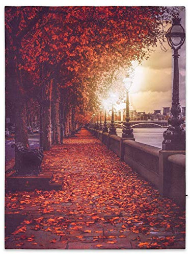 Nexos Trading LED Wandbild Leinwandbild mit Beleuchtung Fotodruck Spree Promenade 30x40 cm Kunstdruck Leuchtbild Effekt-LED Herbst-Deko Park Flussufer LED-Bild
