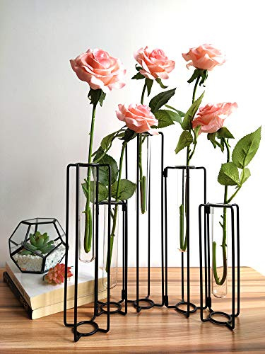 HelloHome Hinged Flower Vase, Black Metal Frame Vase with 5 Test Tubes, Propagation Station Plant Holder, Home Decor, Balcony
