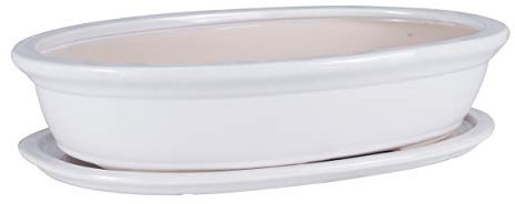 botle Ciotola per bonsai, mini giardino, in ceramica, colore bianco, 6 grandi (19)