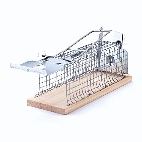 SWISSINNO Mäuse Lebendfalle – Wiederverwendbare Mauskäfig-Falle aus Holz und Metall – Für Innen- und Außenbereiche – Sichtkontrolle ohne Öffnen – 1 Stück