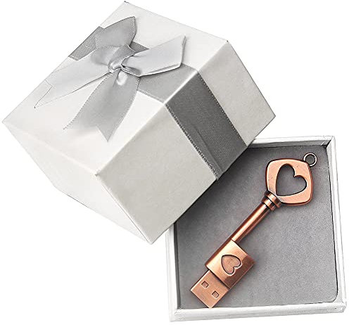 leizhan Metal USB 2.0 Flash Drive 32GB (1 Pack) USB-Stick Pendrive USB Flash Disk Memory Stick Waterproof External Storage Romantic Gift con Caja