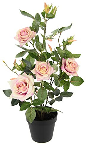 Rosenbusch im Topf Rosen Rosenstock Rosenbäumchen Kunstrosen Seidenblumen Kunstpflanzen Kunstblumen Kunstbaum Dekobaum Kunstpflanzen Pflanzen Dekopflanze Seidenpflanze Zimmerpflanze Deko Büropflanze