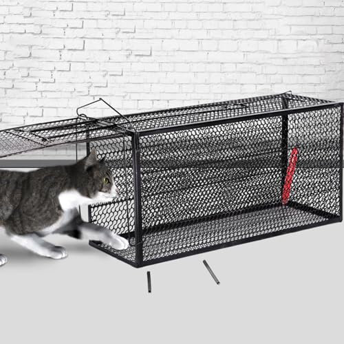 Pgkog Piège À Chat, Piege A Chat, Cage Trappe Chat pour Chats Errants Adapté Aux Animaleries pour Aider Les Animaux À La Maison et Au Bain