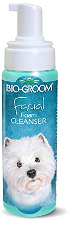 Bio Groom CHAMPÚ Espuma EN SECO