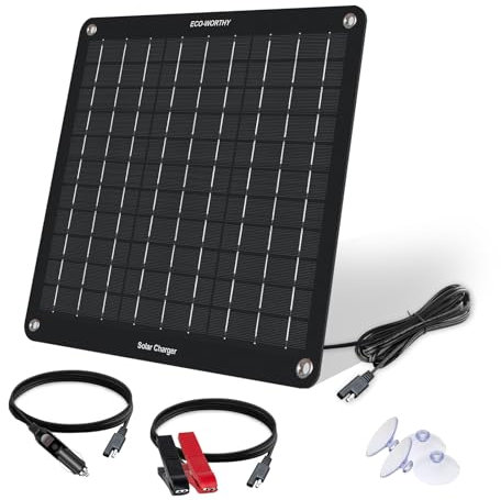 ECO-WORTHY 12 Volt 10 Watt Solar Autobatterie Ladegerät, Solarmodul Erhaltungsladung, Tragbares Solarpanel Notstromversorgung mit Krokodilklemmen Adapter für Auto, Boot, Motorrad, Wohnmobil, LKW
