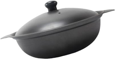 Didiseaon 1pièce Casserole Fonte Pour Poulet Braisé Pot Résistant Chaleur ø Avec Couvercle Pour Cuisson à Domicile