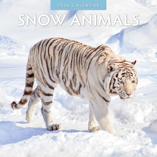 Red Robin 2026 Snow Animals Monthly Wall Calendar | 12 x 24 Open | Premium Thick & Sturdy Paper | Hangable 12 Month Calendar | Lined Notes & To Do Area | Vivid Images | Plastic Free