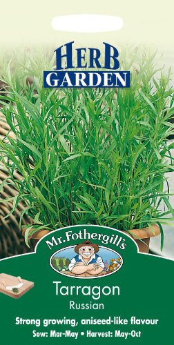 Mr Fothergills - Pictorial Packet - Herb - Russian Tarragon - 350 Seeds